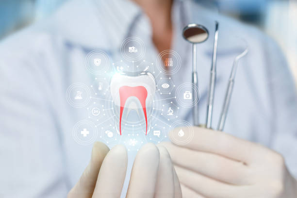 Reliable Waretown, NJ Holistic Dental Care Services Solutions